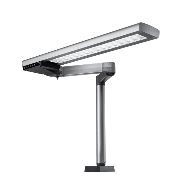 LIGHT 1 - Dental Worklight (Pre-Order)